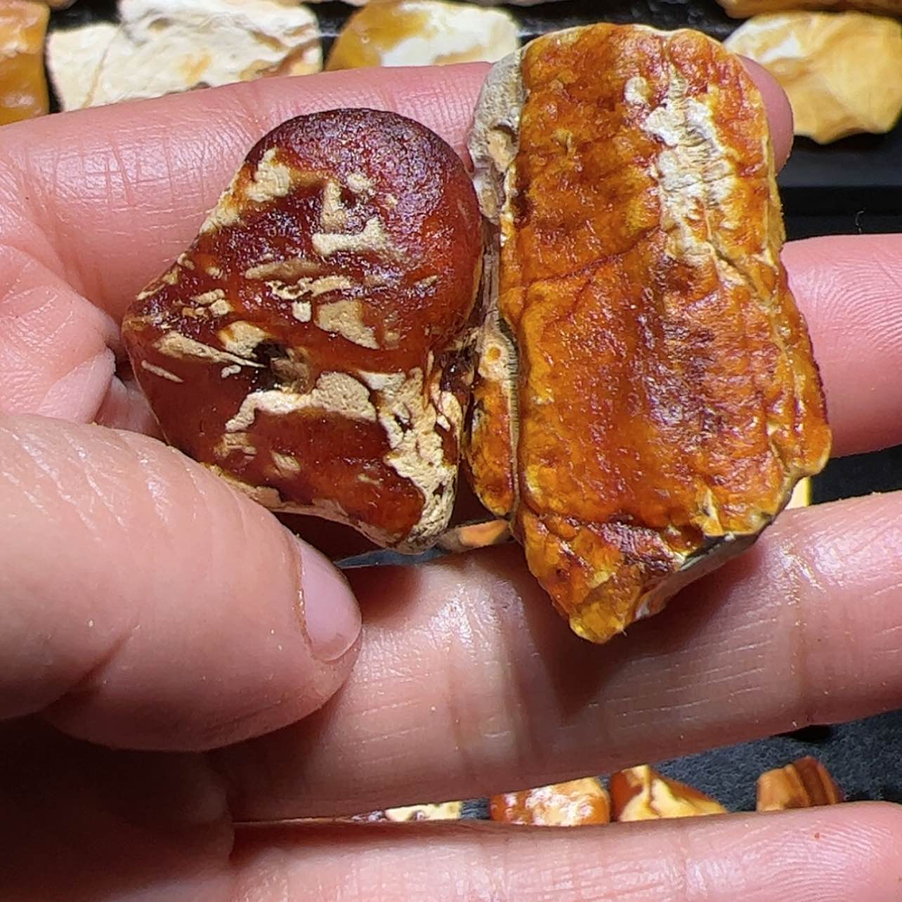 【闪购商品】定制琥珀未镶嵌莫*
