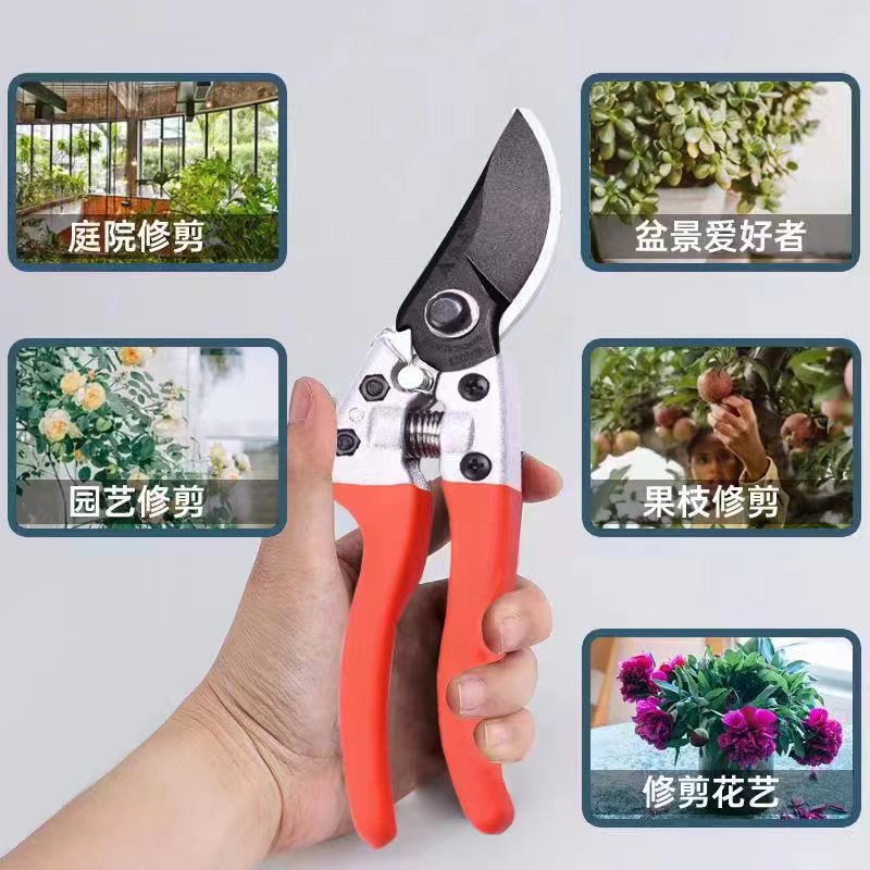 【植予花田】进口高品质花艺剪刀/花艺剪刀马醉木剪花修剪修枝剪