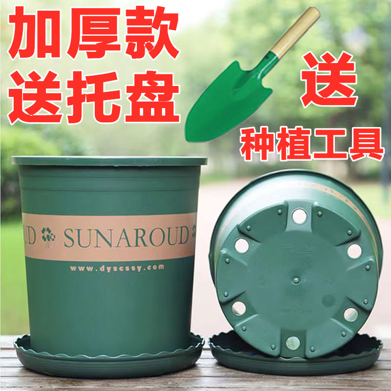 草莓加厚高款加仑盆塑料草莓花盆绿萝月季花盆阳台客厅草莓苗花盆