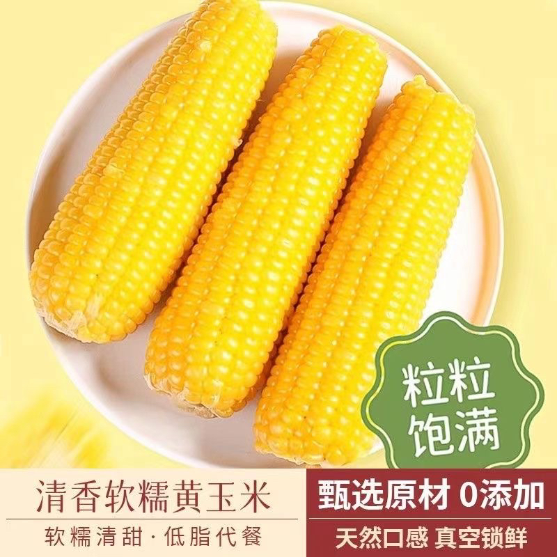 （试吃3根）东北头茬黄糯玉米真空包装香甜软糯粘