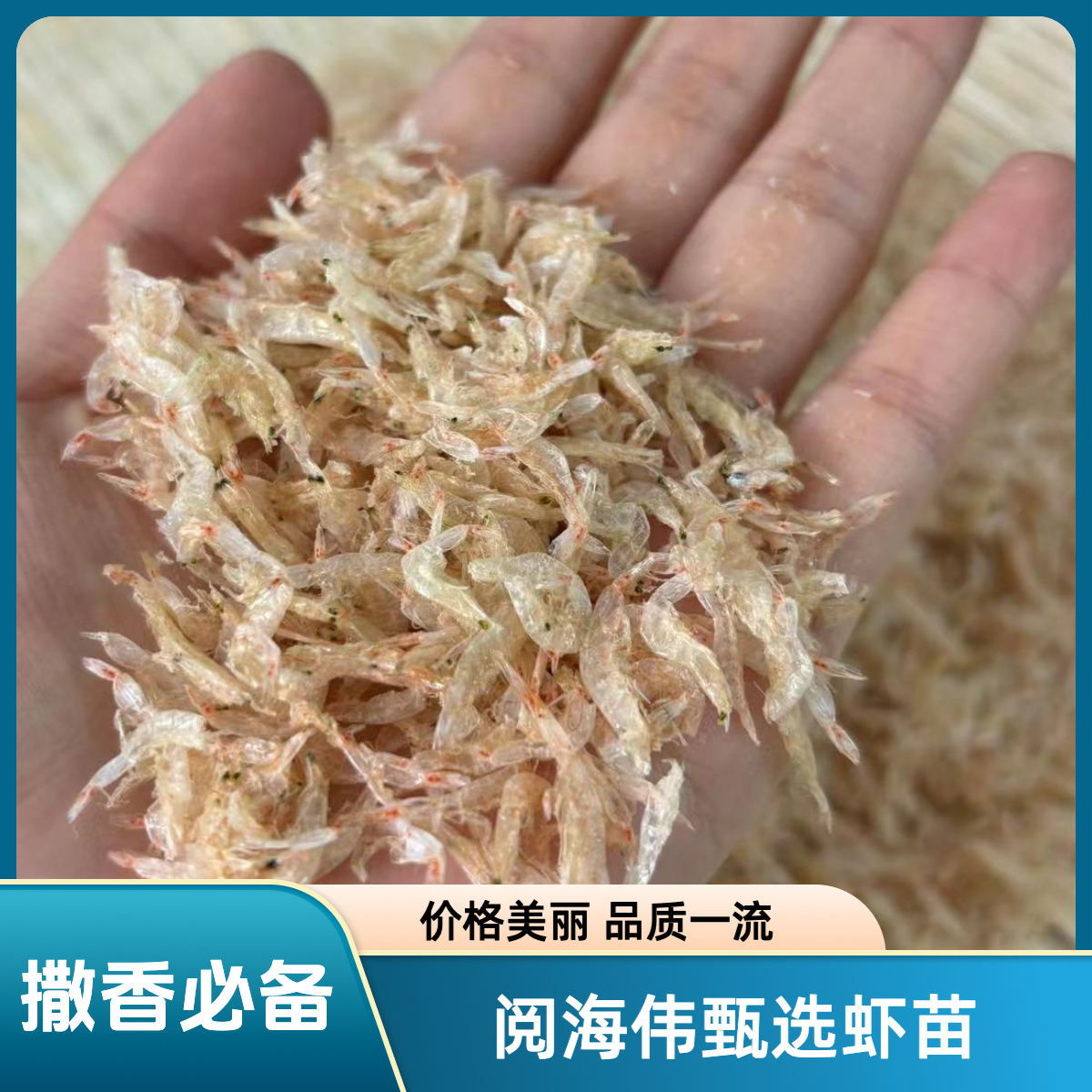 虾苗、虾米、咸茶、撒香必备靓货！