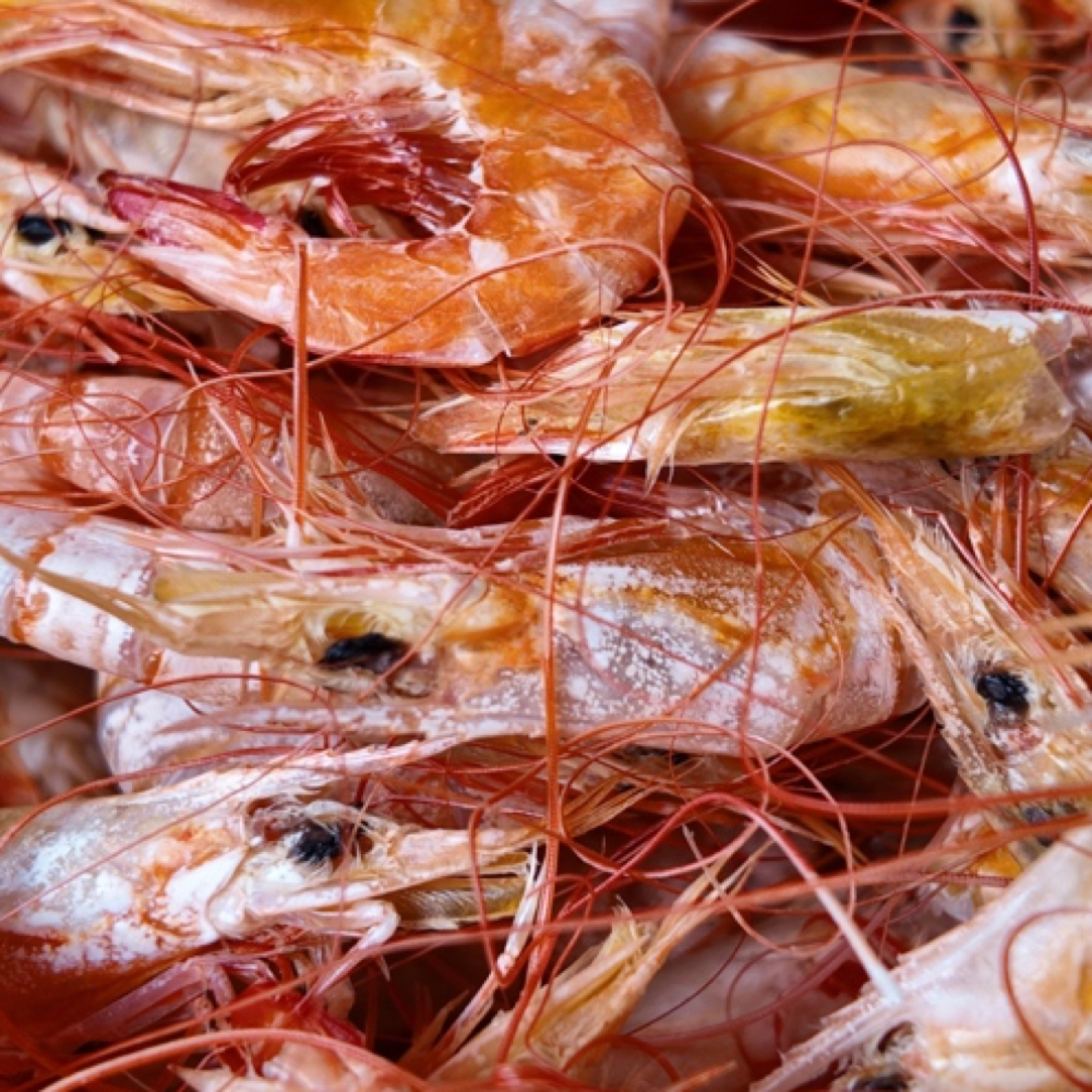 马宫野生卢虾干！鲜甜美味！