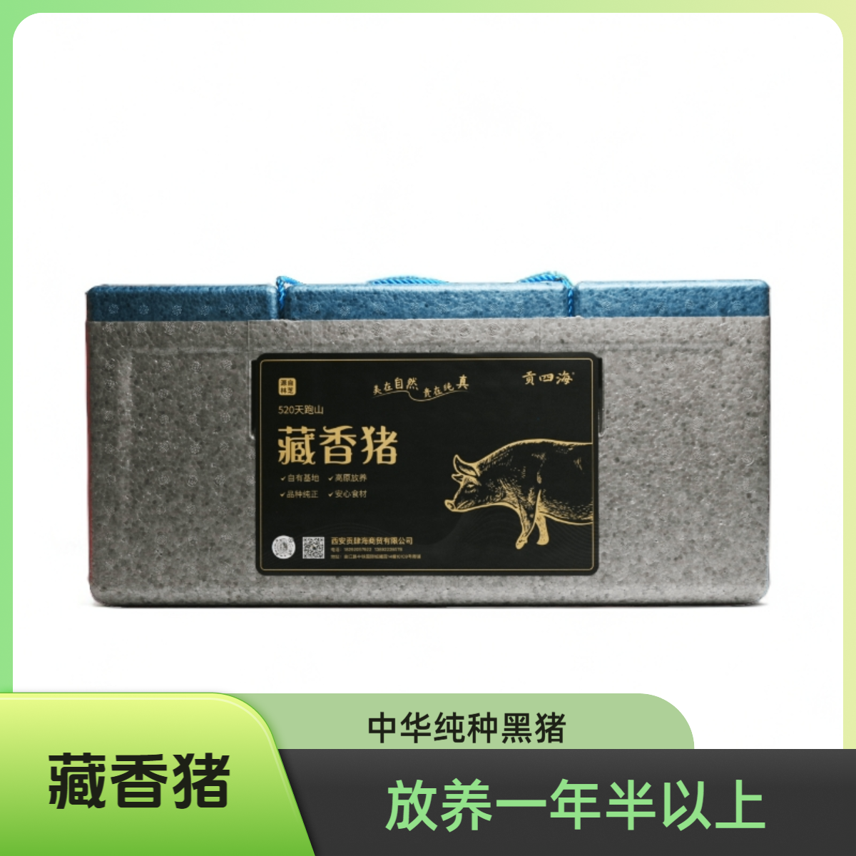 「贡四海」藏香猪10斤礼盒