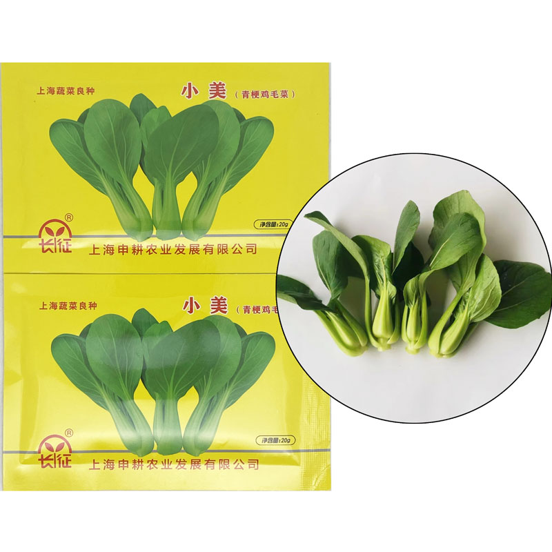 长征小美青梗鸡毛菜种籽高产耐热耐湿油亮秧菜小青菜种子
