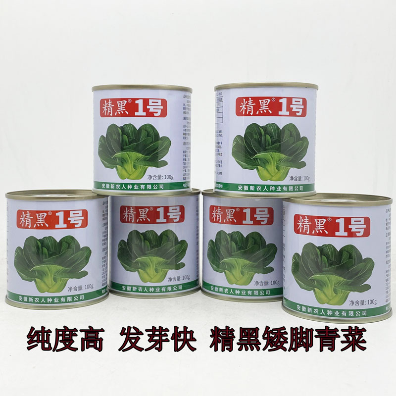 精黑1号矮脚青菜种籽高产耐寒矮箕束腰黑叶菜种子原装100克