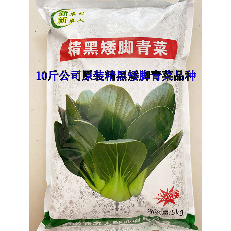 精黑矮脚青菜种籽高产耐寒矮箕束腰小颗黑菜种子原装10斤