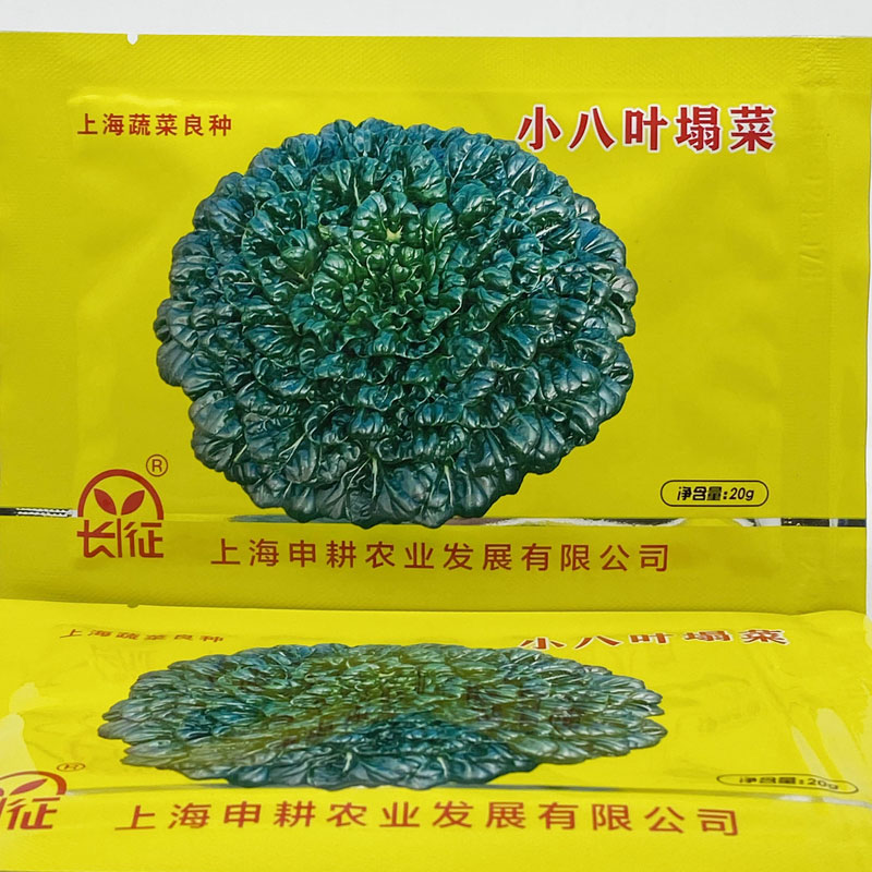 上海长征小八叶塌菜种籽高产耐冻矮颗菊花塌颗菜种子20克原装