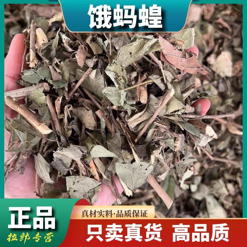 野生【饿蚂蝗】500g饿蚂蟥草晒干山旱蚂蝗草250g红掌草益母草原料