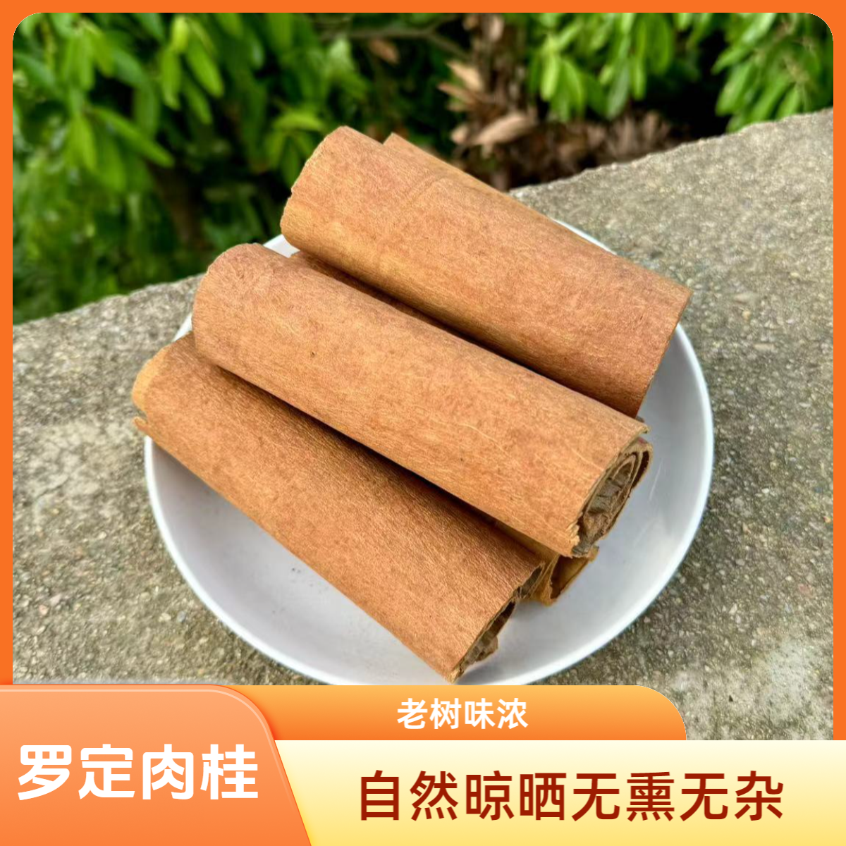 精选广东罗定肉桂干货香料中药材农户自销源头桂皮