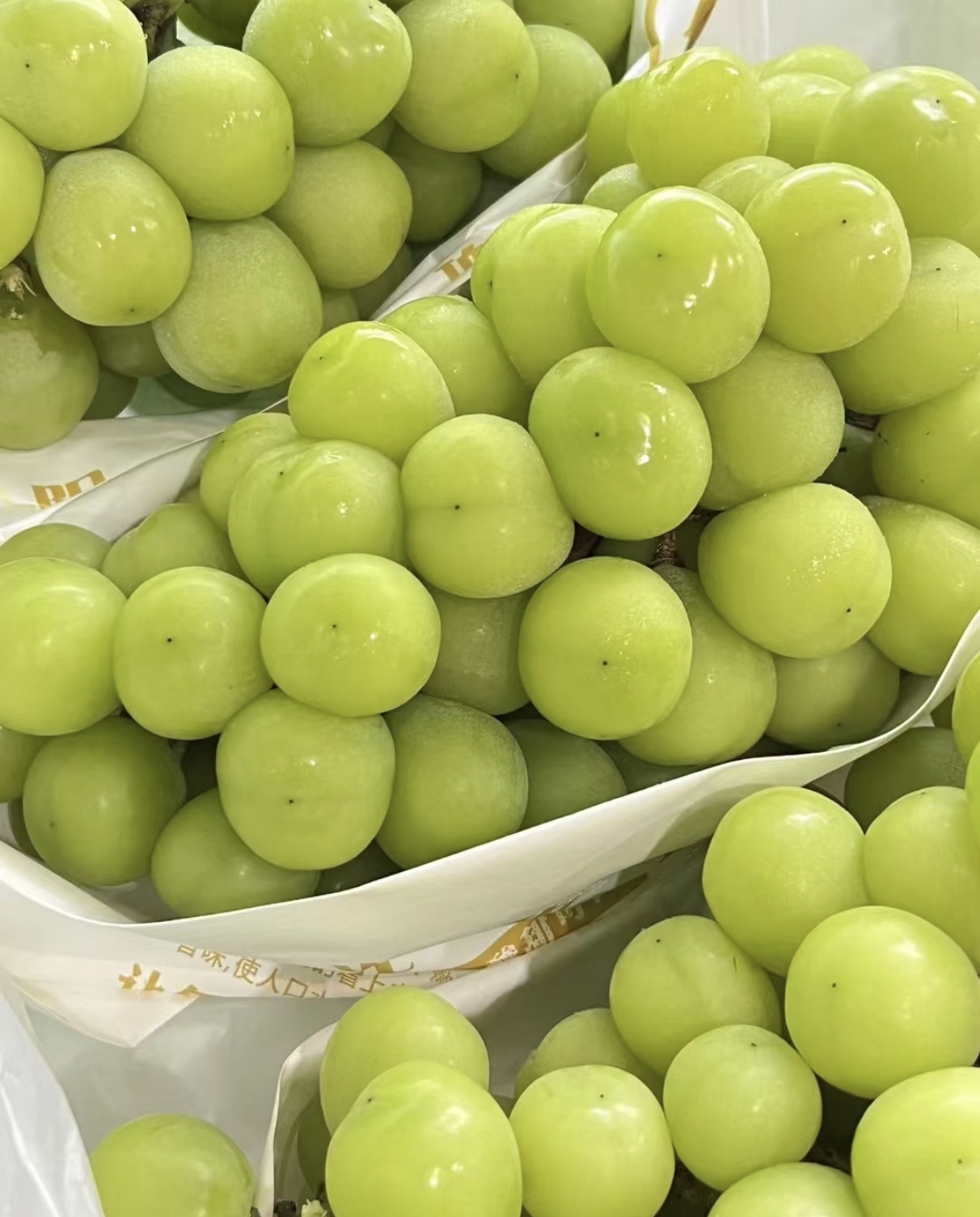 钻石晴王15一斤