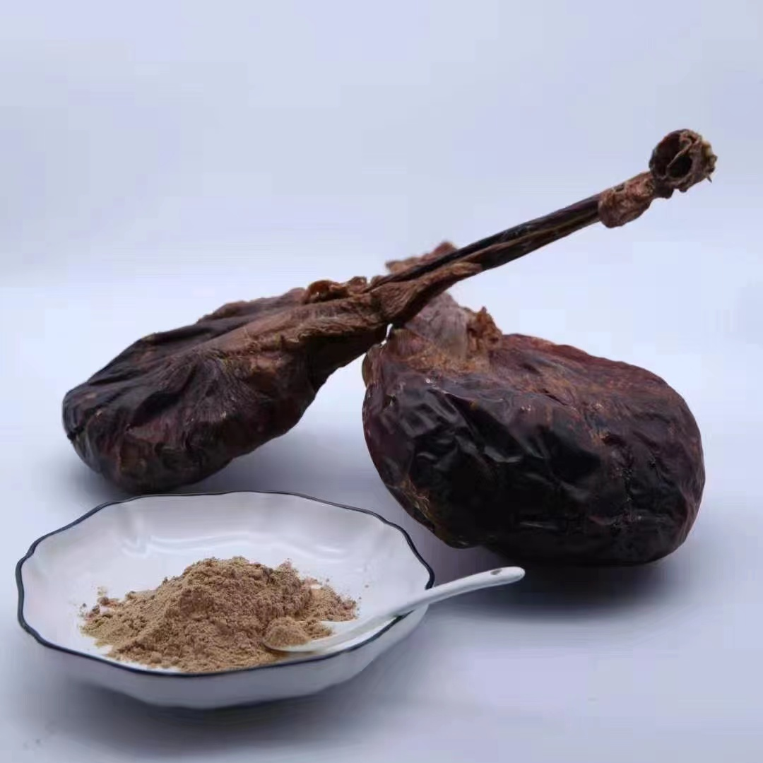 东北梅传统花鹿鹿胎