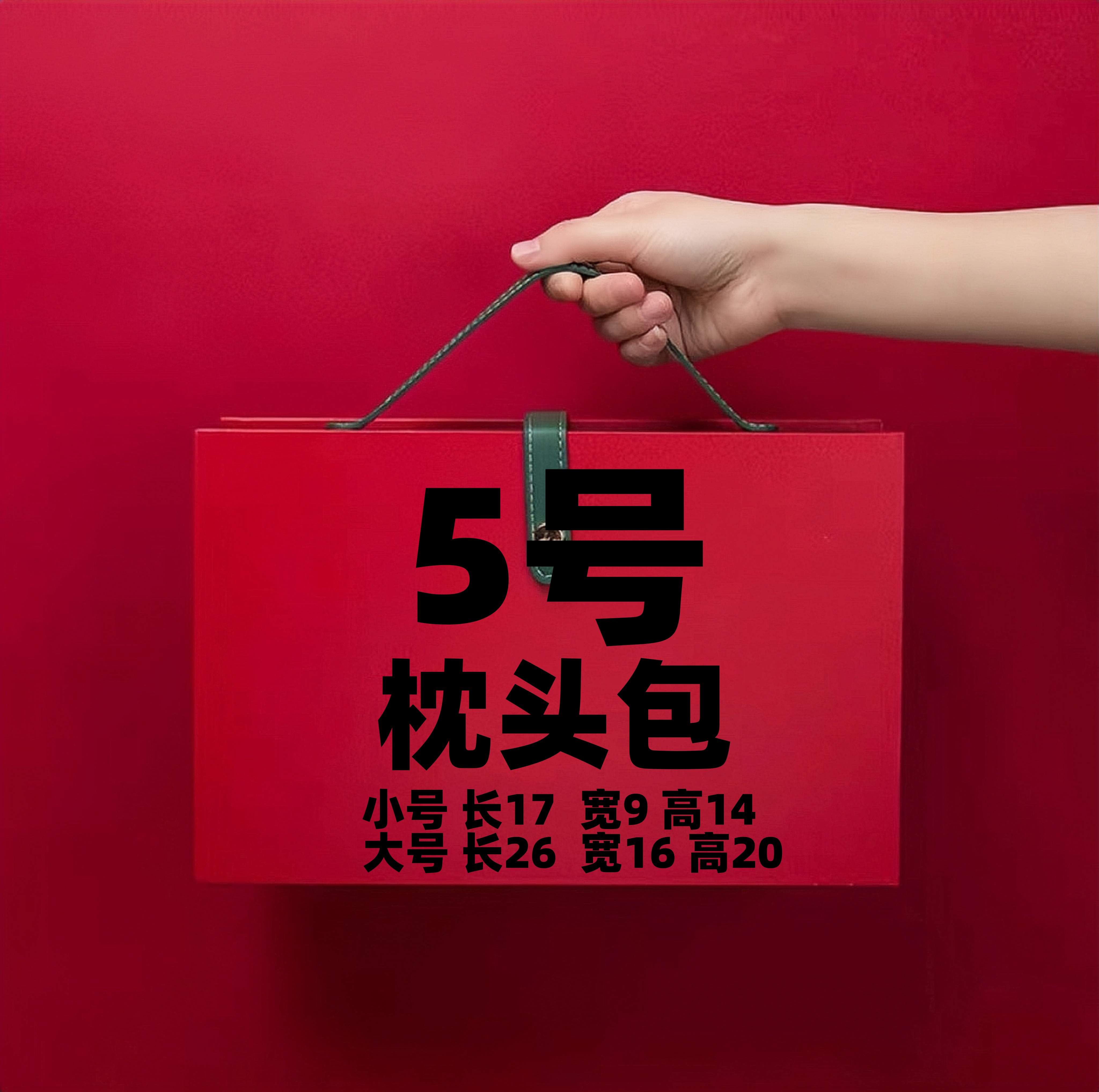 【5号】2023网红时尚百搭休闲枕头包6556