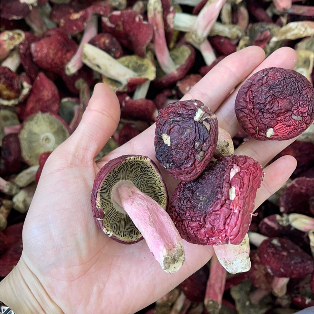 【麦甜精选】福建三明红菇250克起汤头鲜美炖汤十分钟甄选自然