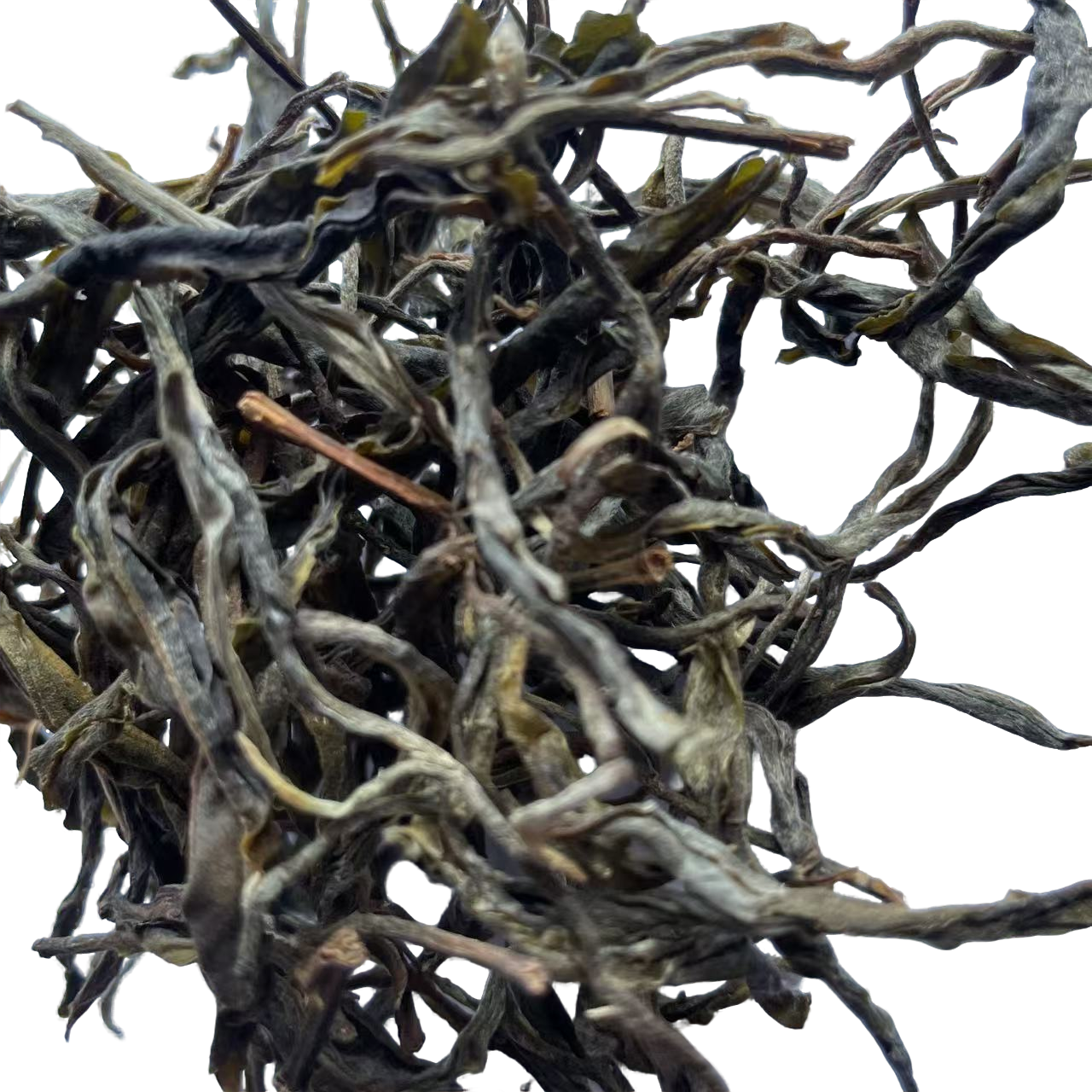 2024年东弄单株生普散料100g《号》