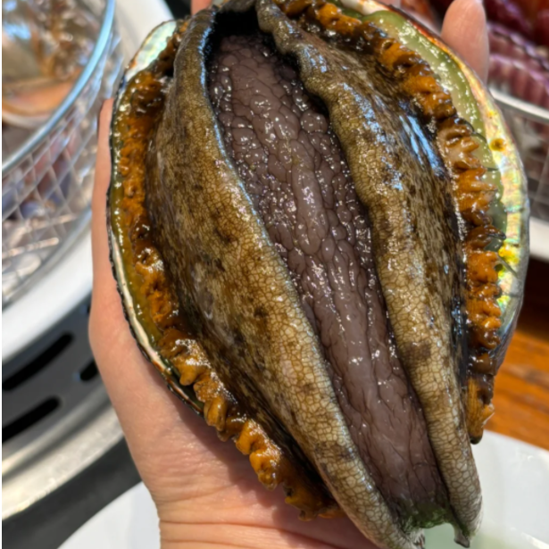 【通辽同城包送】鲍鱼