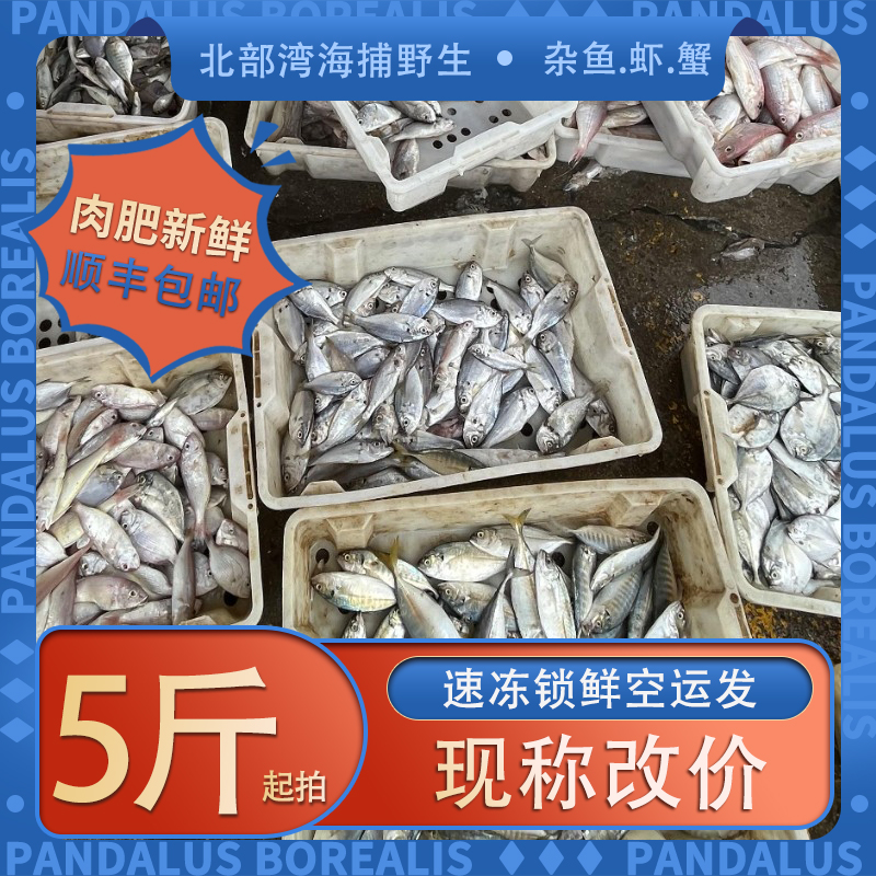 1⃣️ 北部湾海捕野生杂鱼.虾.蟹 5斤起拍 现称改价 速冻锁鲜空运发