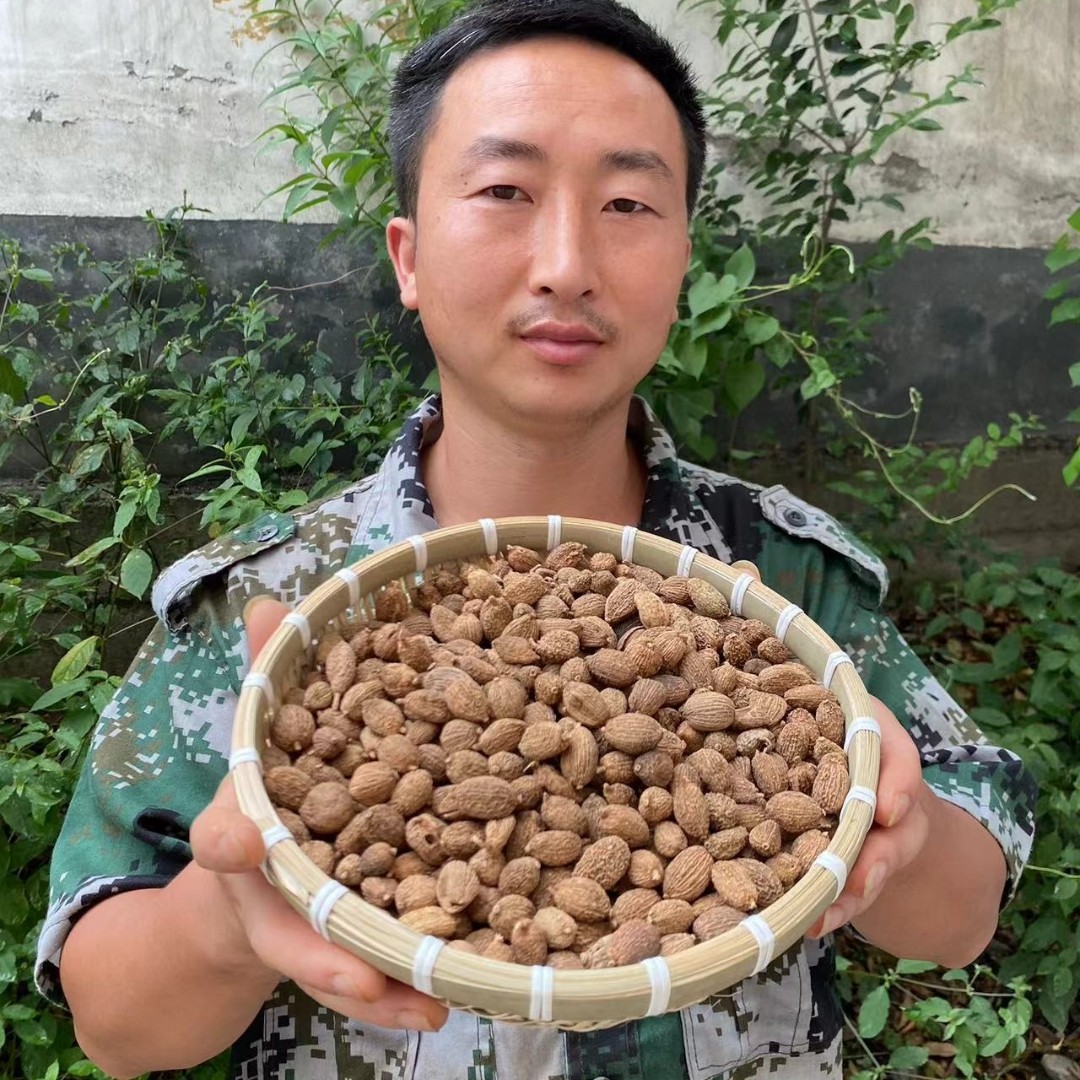 砂仁 砂仁选货种植砂仁农家自晒包邮