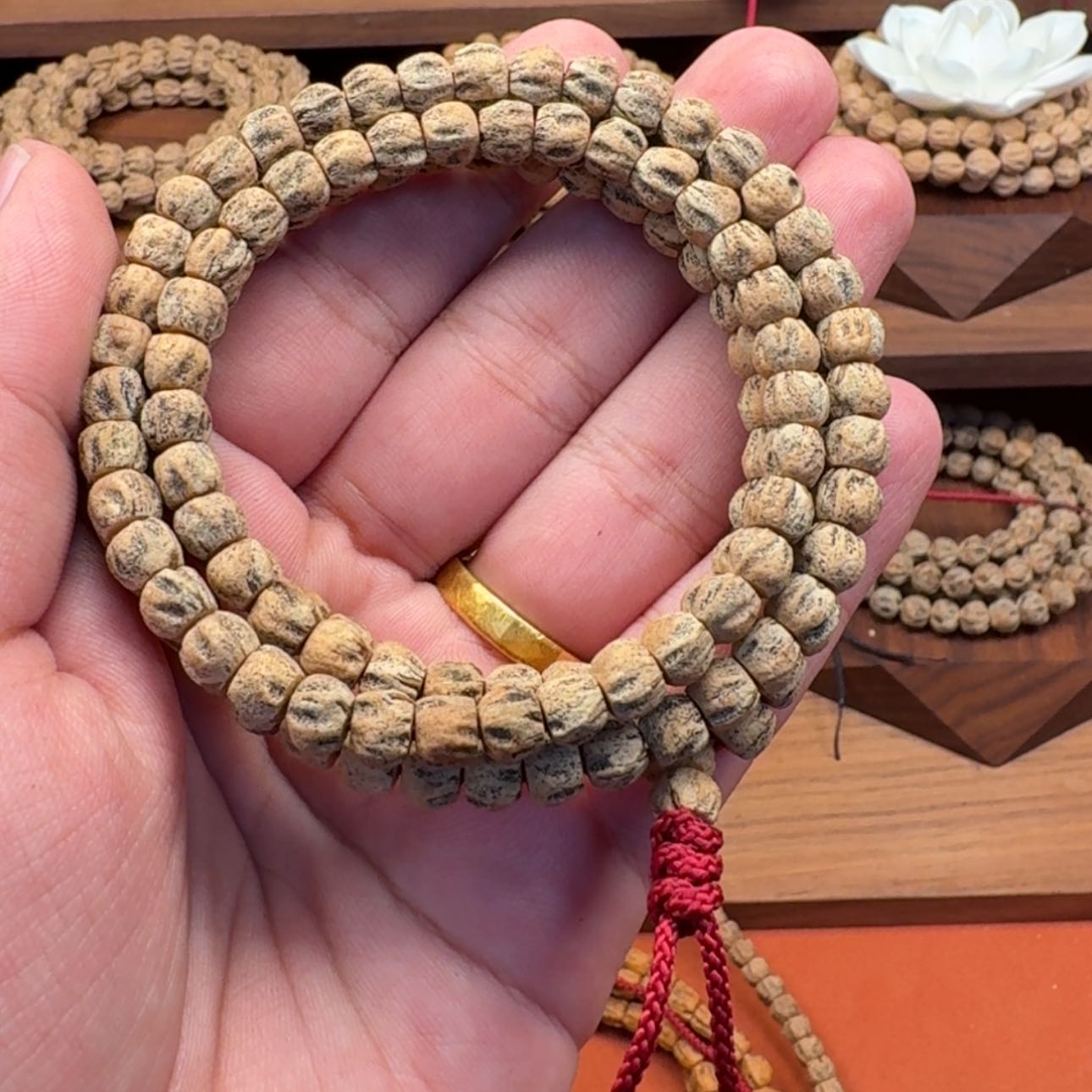 【闪购商品】柏香籽/百香籽吊坠施***施