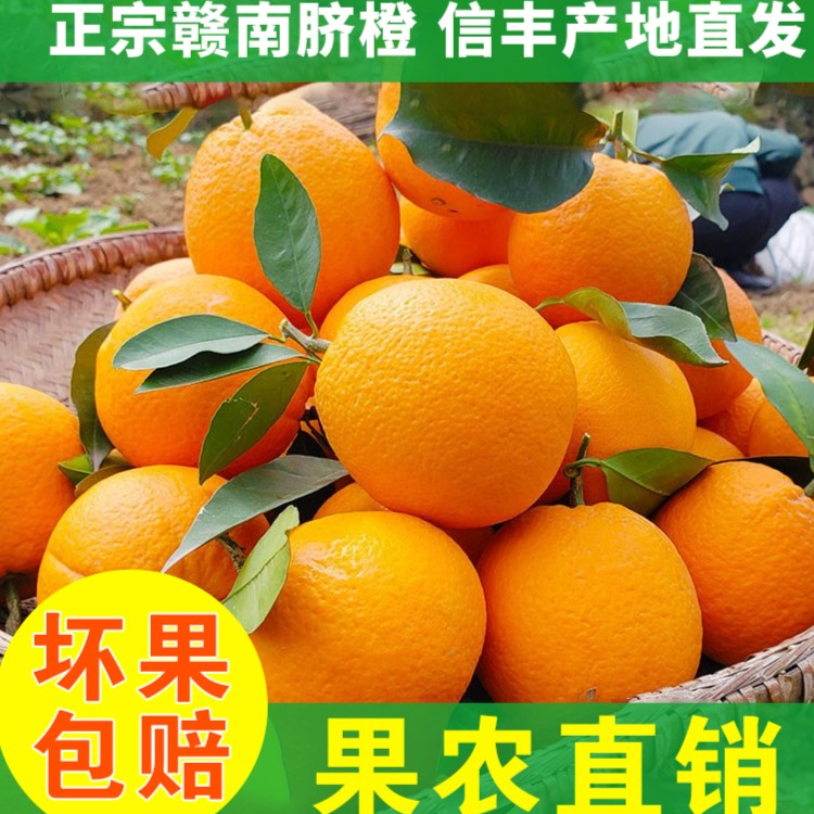 喜茹姐正宗赣南脐橙信丰脐橙孕妇水果发京东赣州信丰果园直发农家