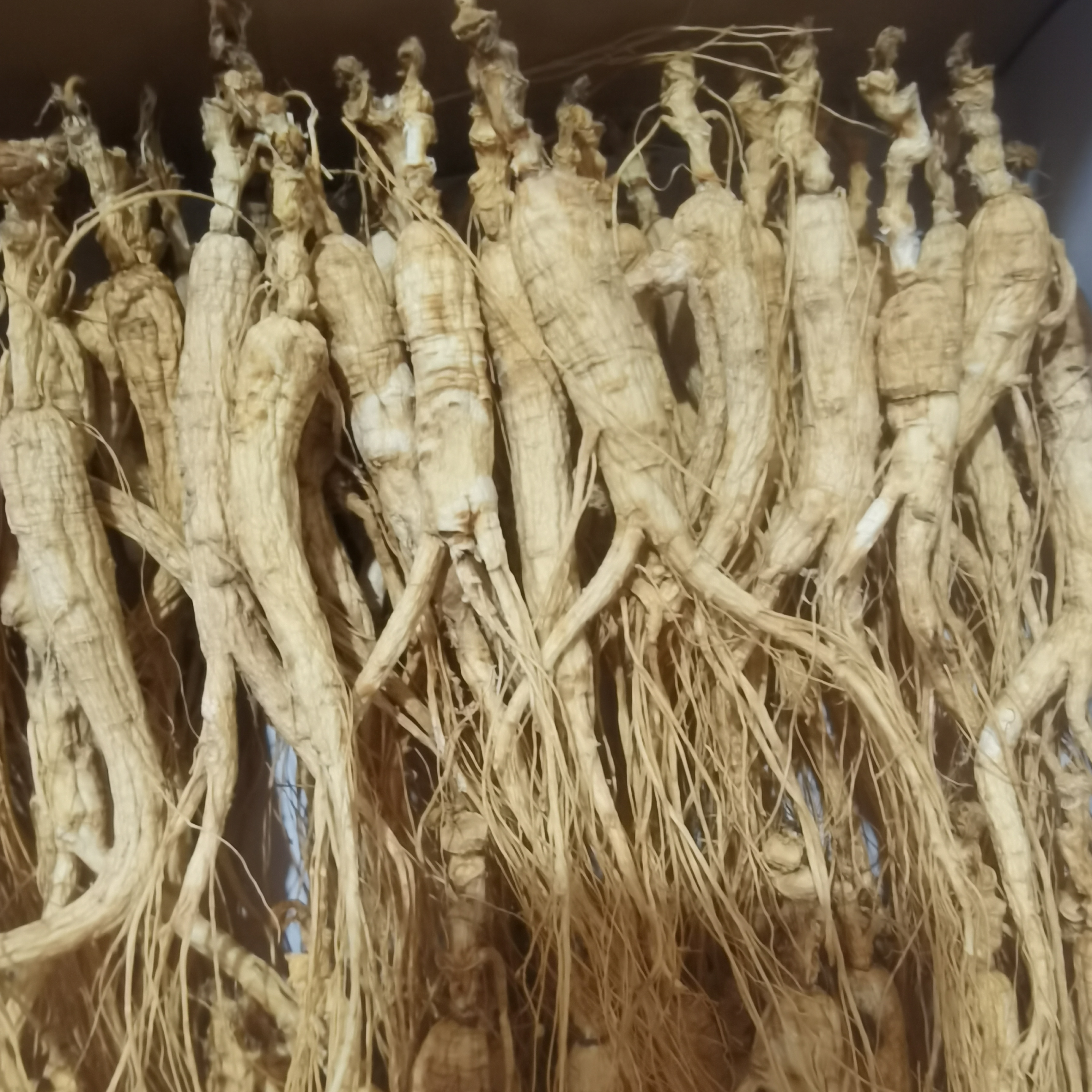 长白山林下干参微残，经济实惠，煲汤打粉