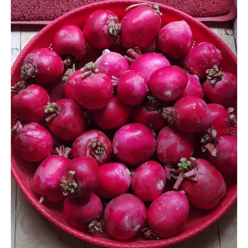 湖北红安特产胡各河新鲜红萝卜农家露天种植圆红萝卜5斤包邮