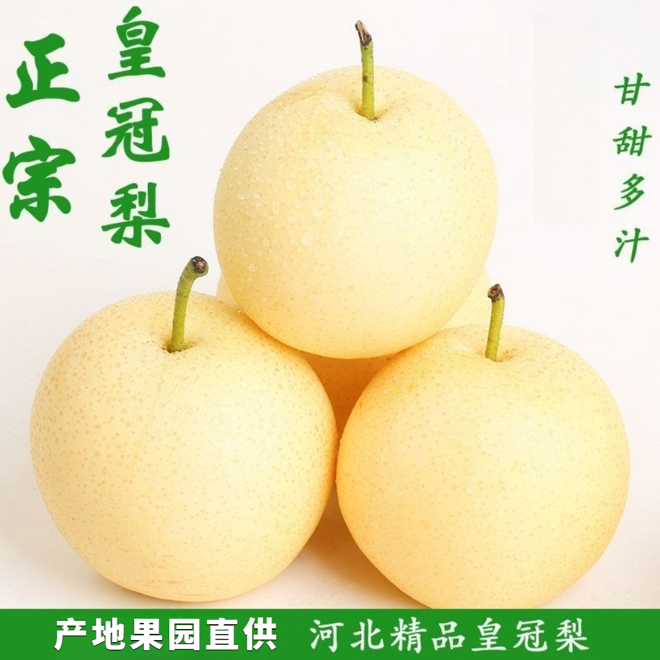新鲜水果正宗河北皇冠梨应季水果梨子整箱包邮香梨薄皮甜多汁爽口