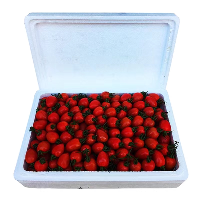 【甘肃省内顺丰包邮】粉色小西红柿，3/5斤新鲜食用酸甜自然圣女果