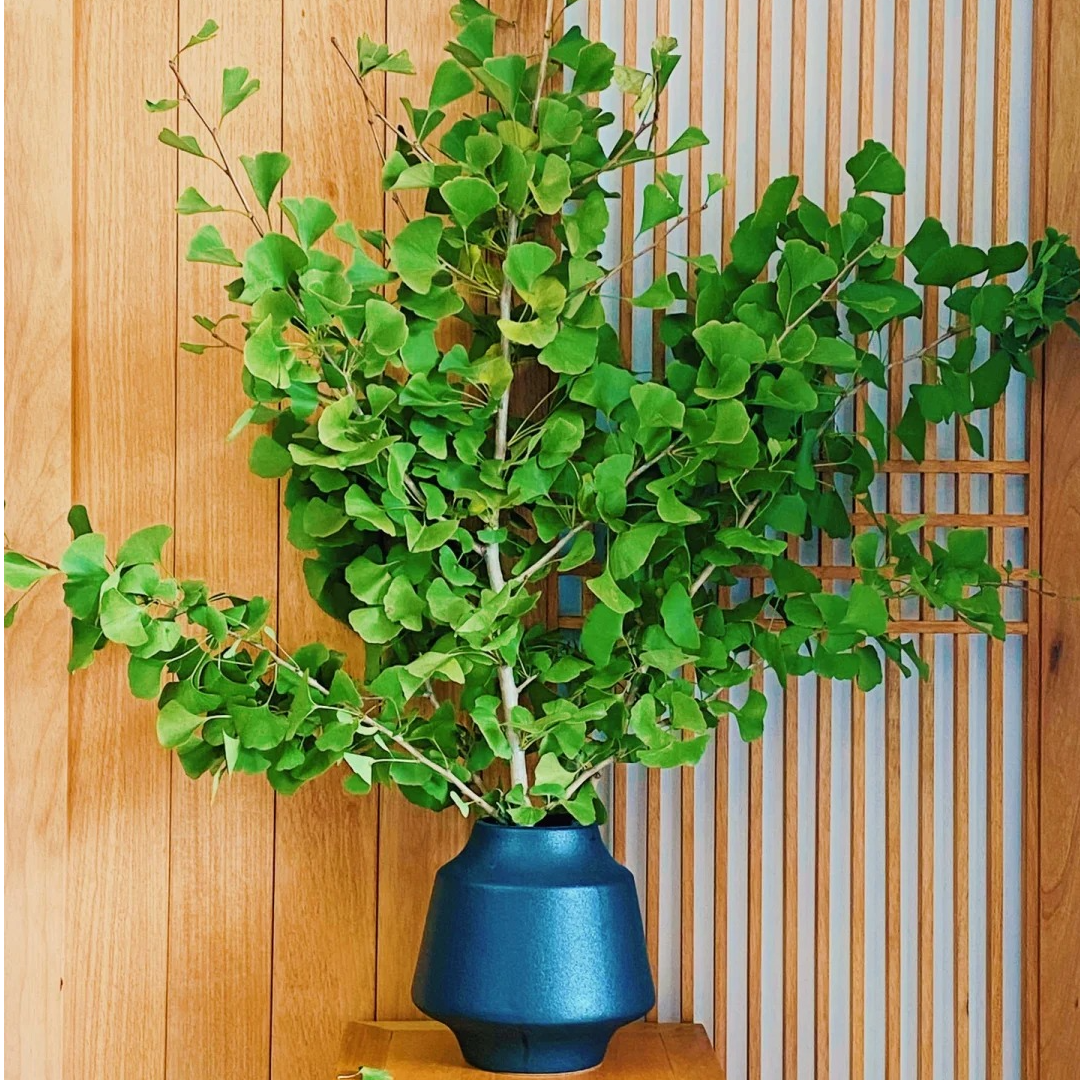 小众花材定制合集