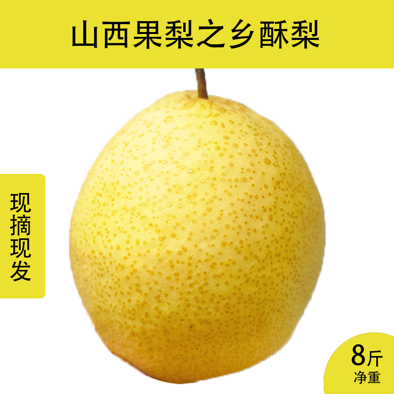 万亩梨园山西平遥当季现摘梨子产地直销新鲜酥梨脆甜多汁净重8斤