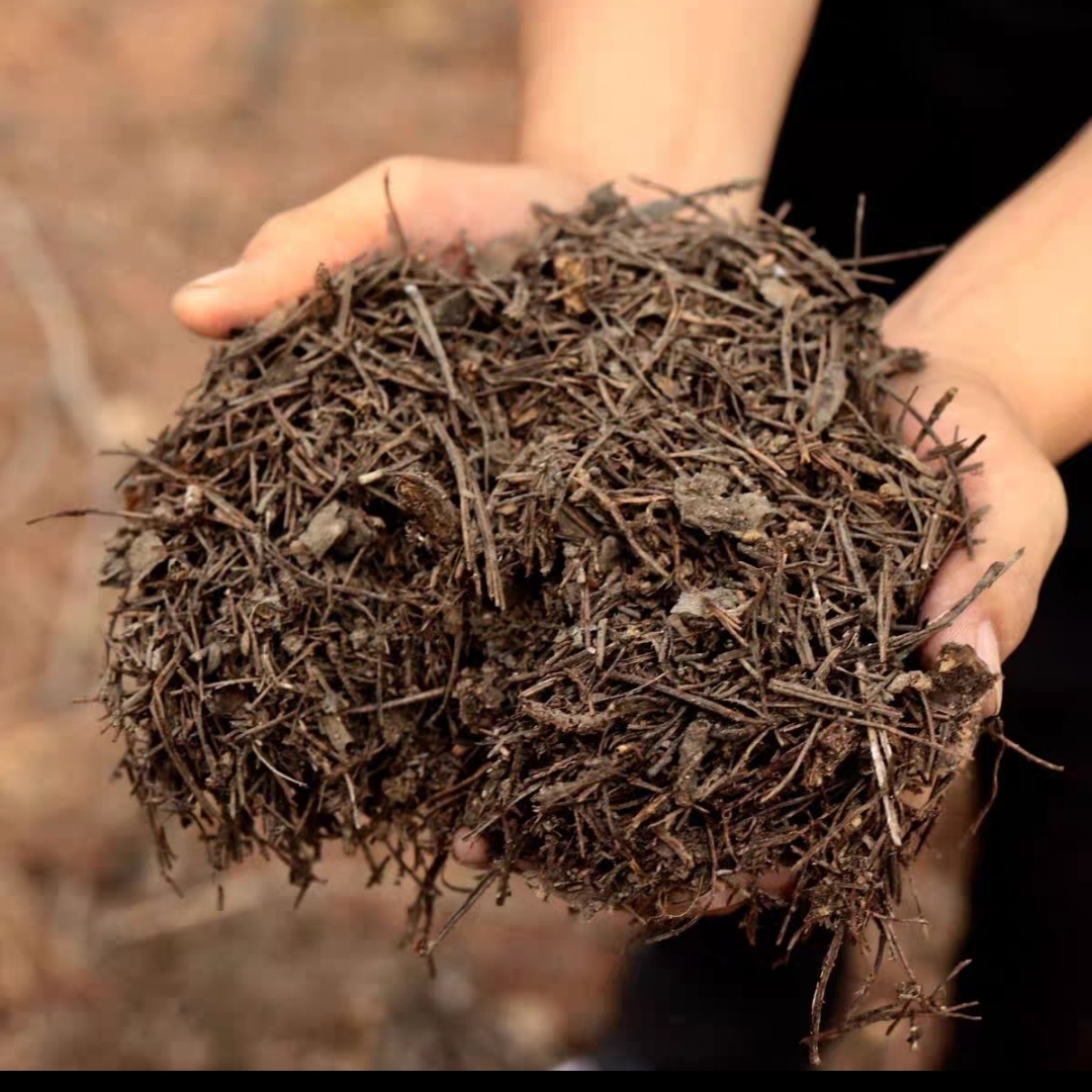 天然腐熟松针腐叶营养土家用透气适用于兰花花卉养花正宗通用
