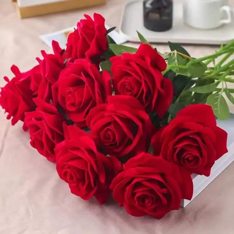 大花勤花丰花红色玫瑰花【红丝绒】四季开花耐寒耐热阳台庭院月季花