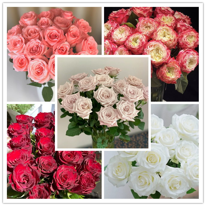 【云南玫瑰泡泡康乃馨洋桔梗配花配草】一单中通两单顺丰/邮政