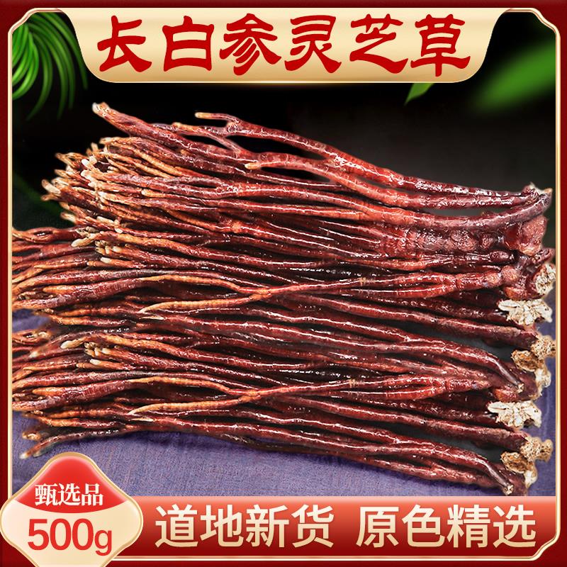 正宗灵芝草长白山特产整枝鹿角灵芝泡水泡酒赤灵芝