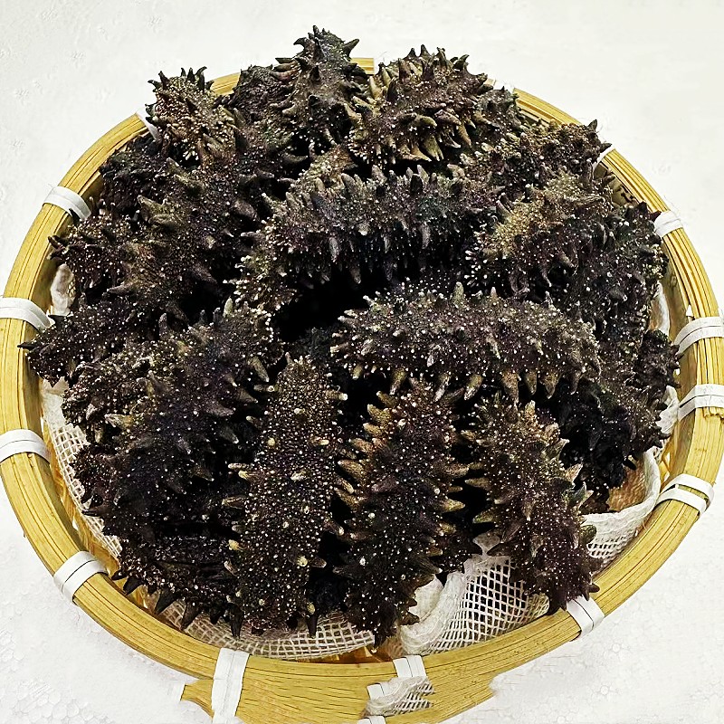 纯淡干辽刺参高泡发肉质紧实营养丰富海产干货100-150头