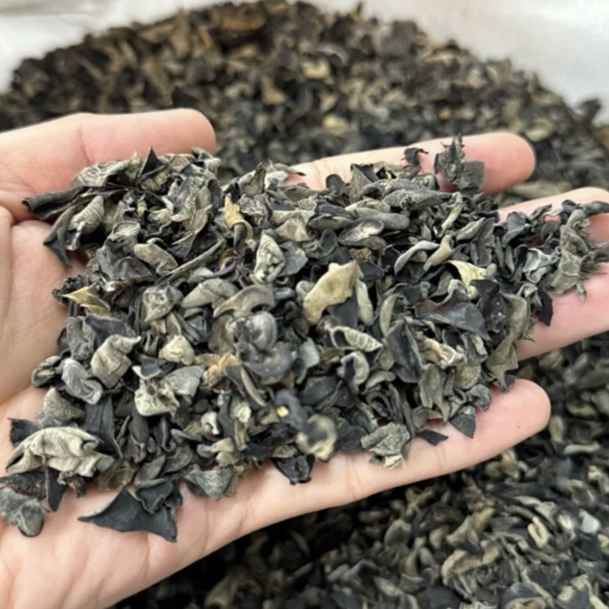 正宗东北老鼠耳碎