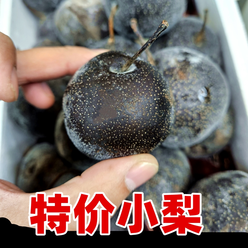 东北冻梨小梨专拍农家冻秋梨