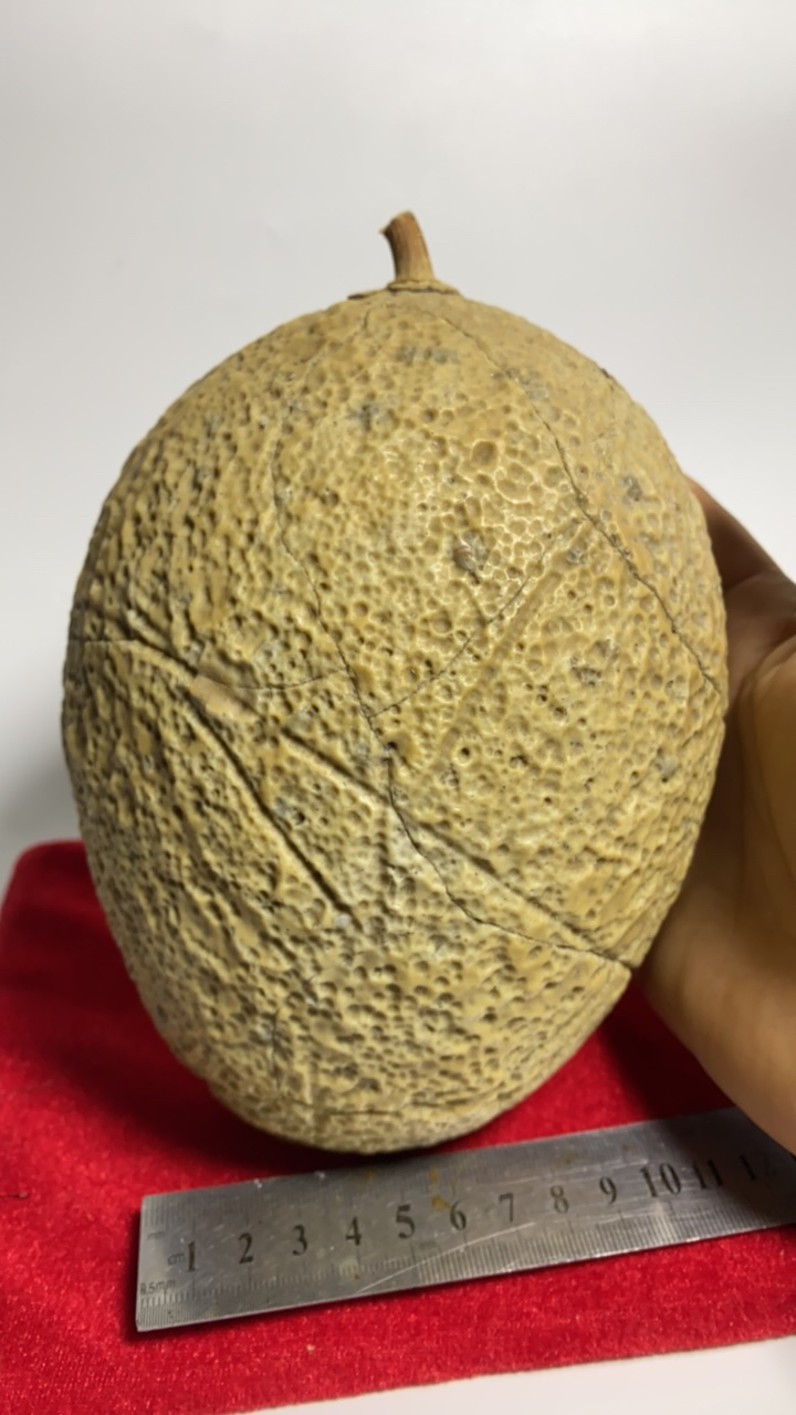 3号奇石像形石一图一拍如图