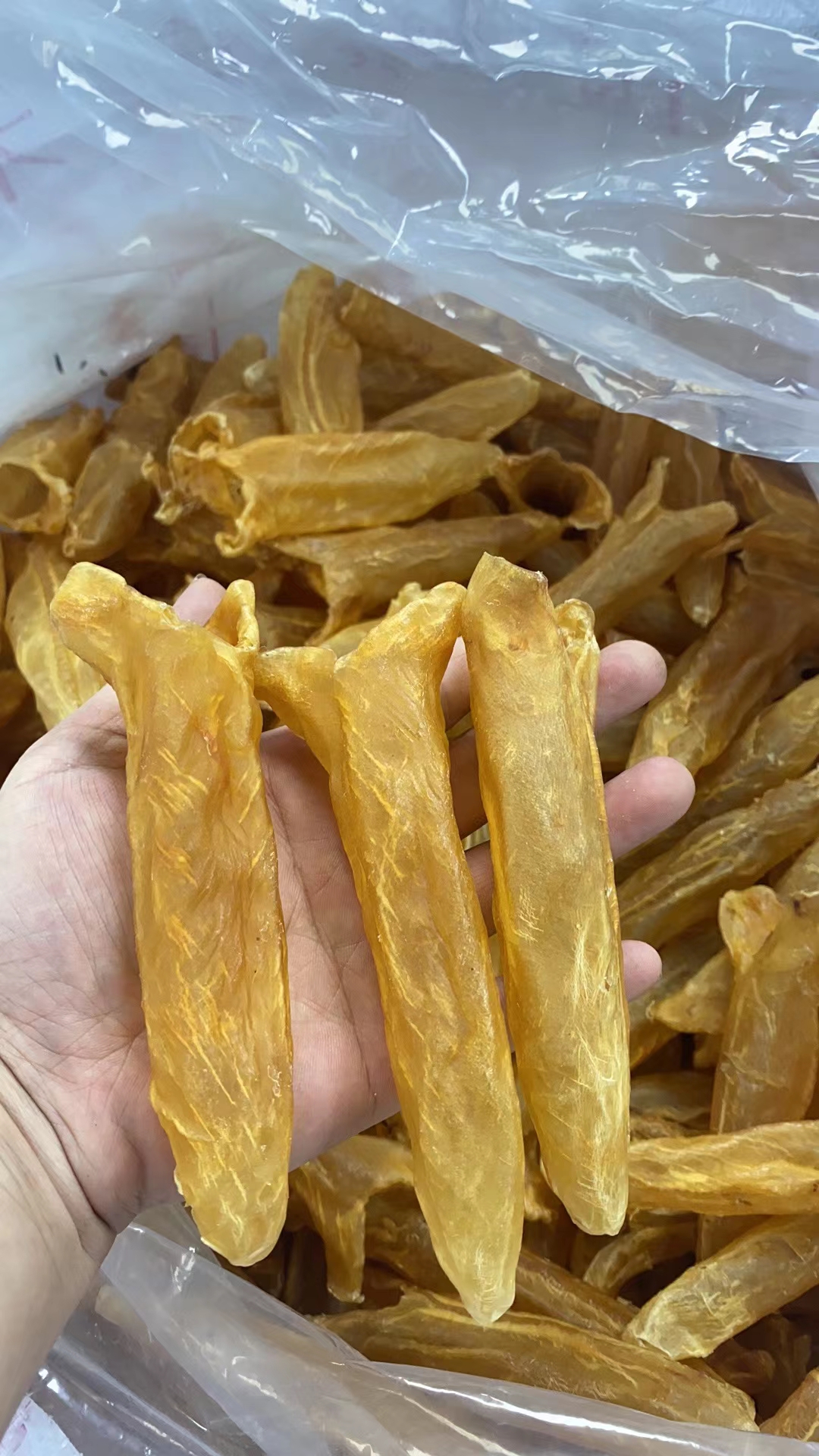 广东汕头南澳45头厚肉老黄花胶孕妇滋补 低腥味 胶原蛋白首选