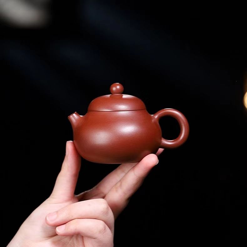 小品光器文旦 红皮龙 徐霞