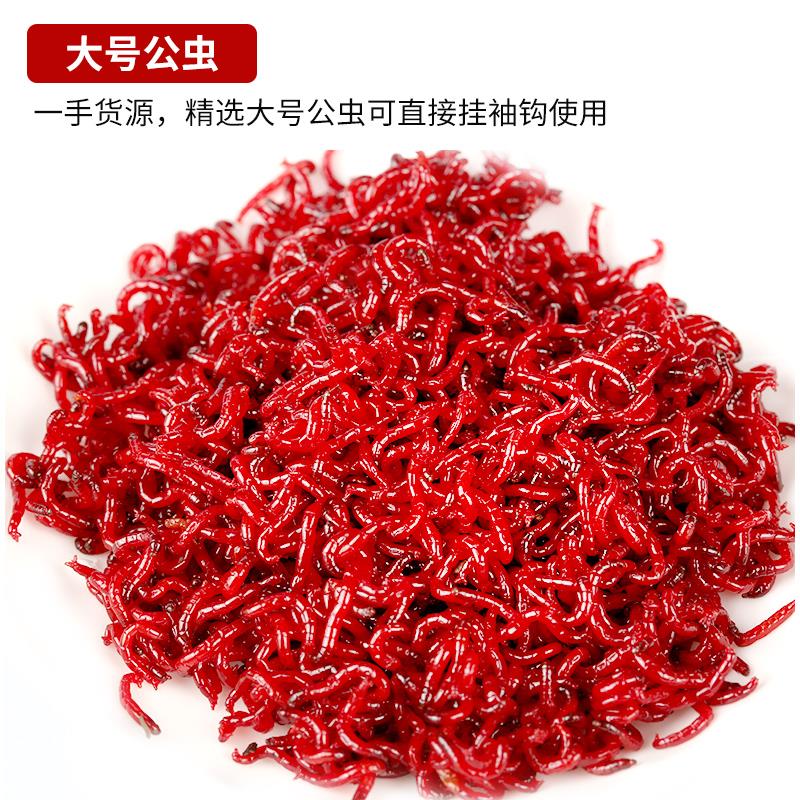 【邓老师甄选】鲜活红虫特大号公虫活体活饵喂鱼饵拉饵鲫鱼野钓Ck
