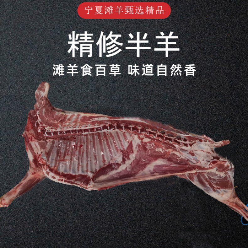 宁夏滩羊  10-15斤精修新鲜正宗半只羊 