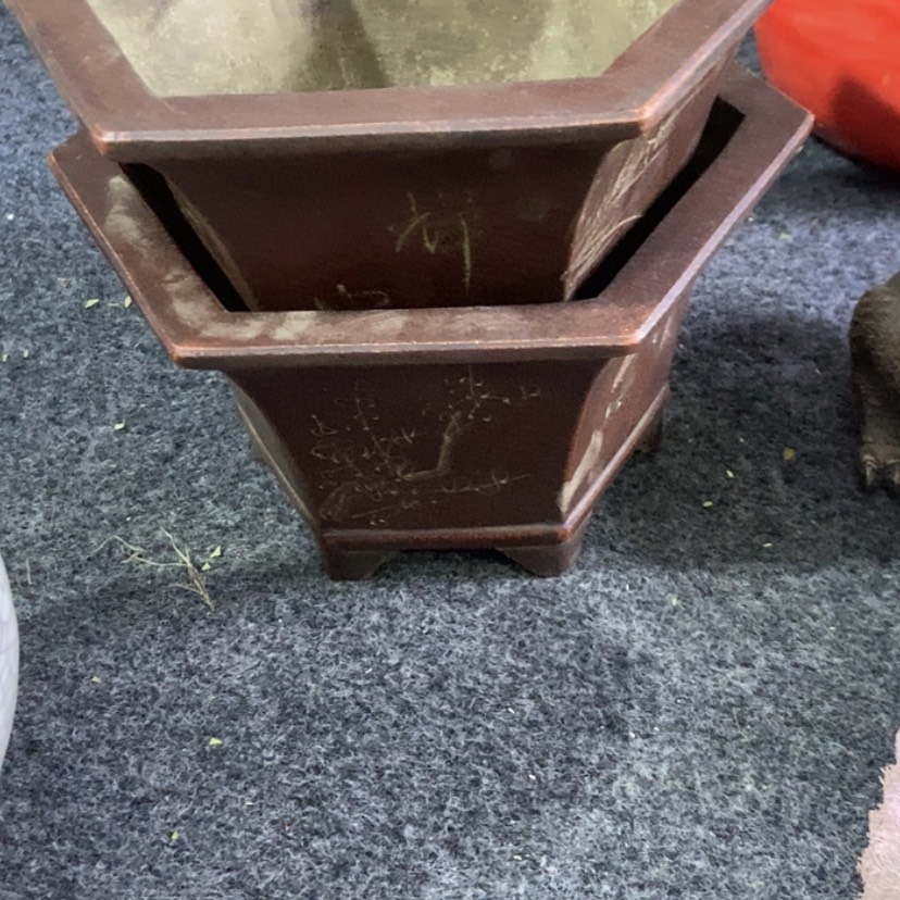 【闪购商品】紫砂艺*