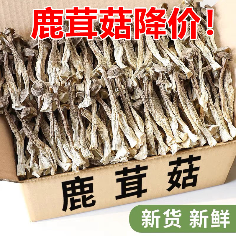 【18.9抢1大罐】西藏鹿茸菇鹿茸菇干货今年新货鹿茸菌鹿耳菇菌菇