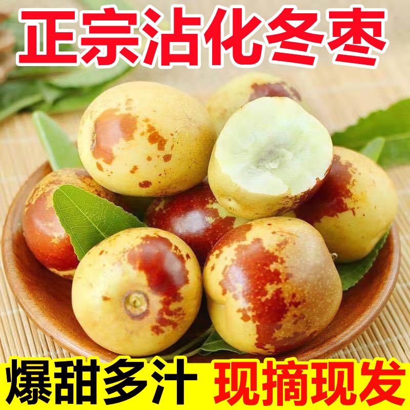 正宗山东滨州沾化冬枣3斤现货现摘脆甜无菌多汁地头发货坏果包赔
