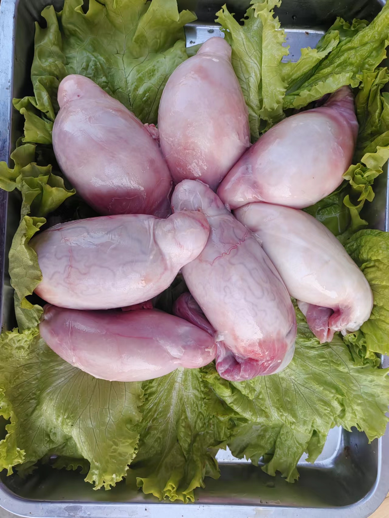 小山羊新鲜羊宝【顺丰包邮】