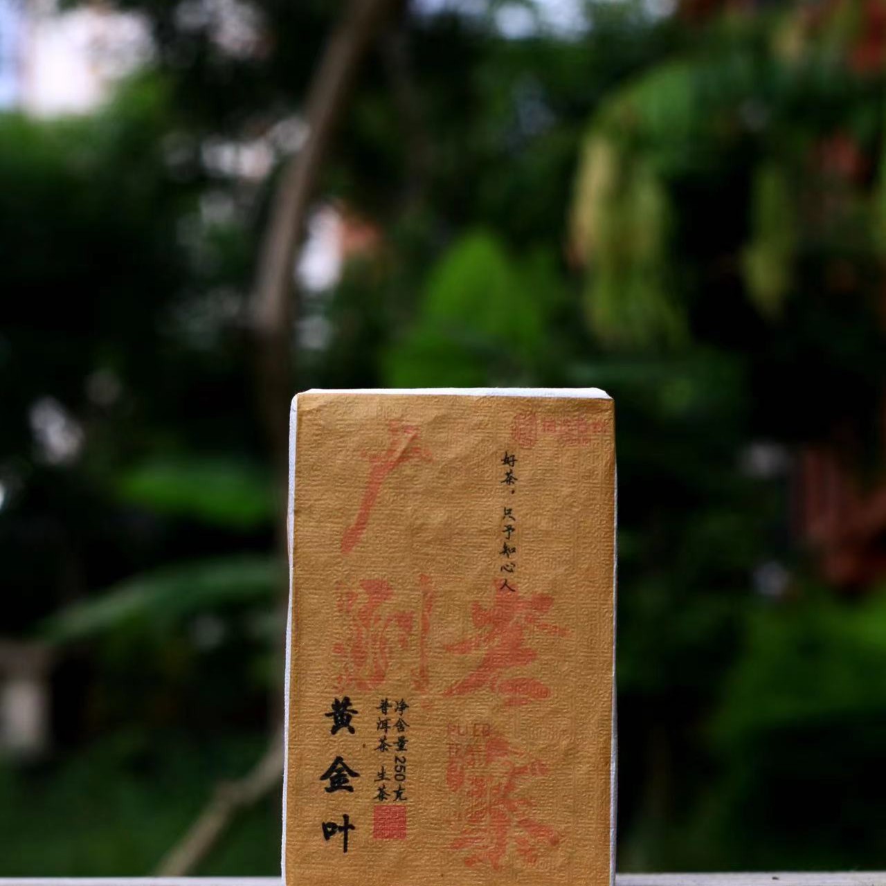 2023年广别老寨黄金叶250克，香甜型普洱生茶