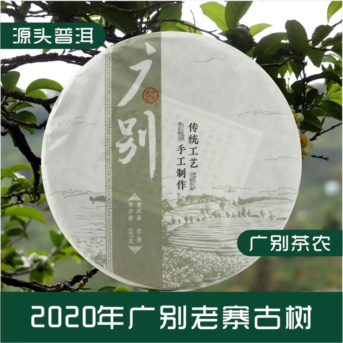 2020年 广别乔木春茶 普洱茶 生茶