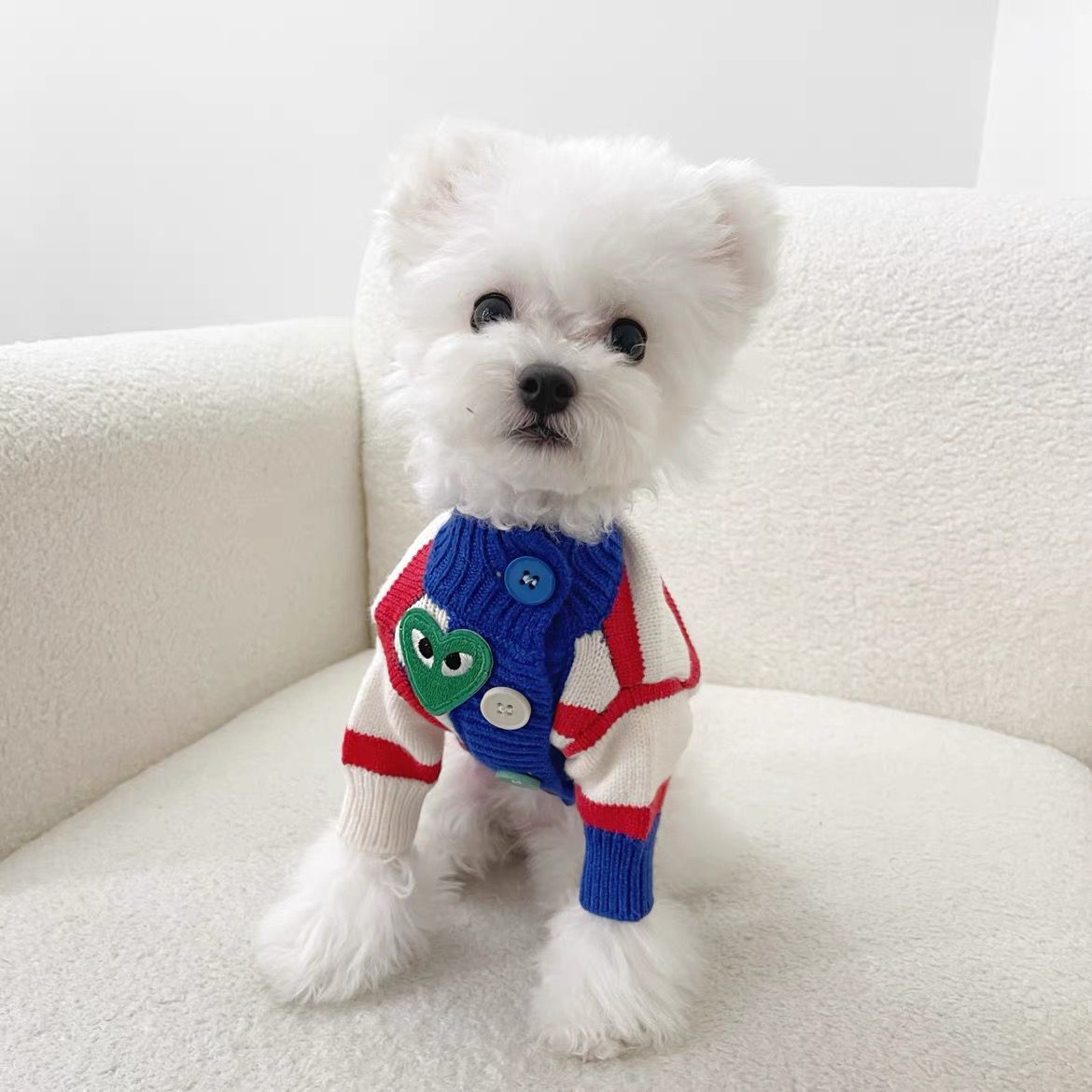 狗狗衣服冬季保暖毛衣雪纳瑞法斗比熊泰迪法斗中小型犬猫宠物超萌