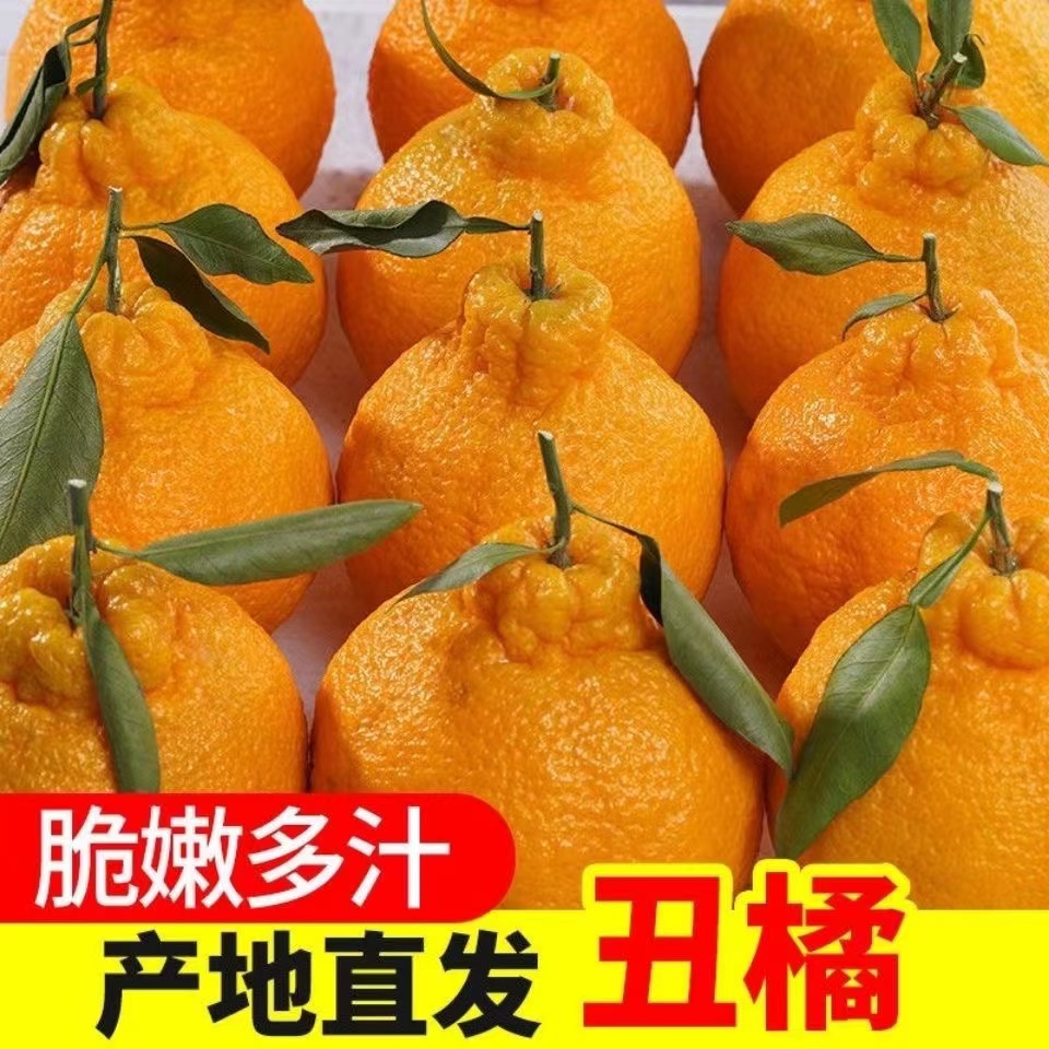 正宗不知火丑橘新鲜2-9斤水果丑柑粑粑丑八怪柑橘耙耙桔子鲜果