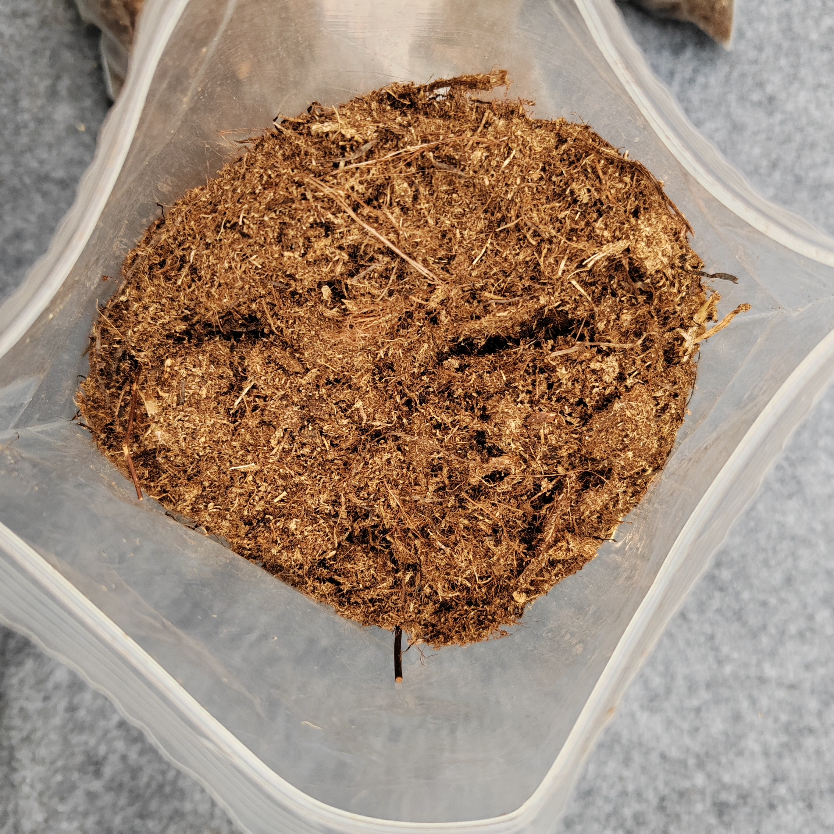 包邮发货花卉绿植用荷兰进口宝莲灯专用泥炭土营养土